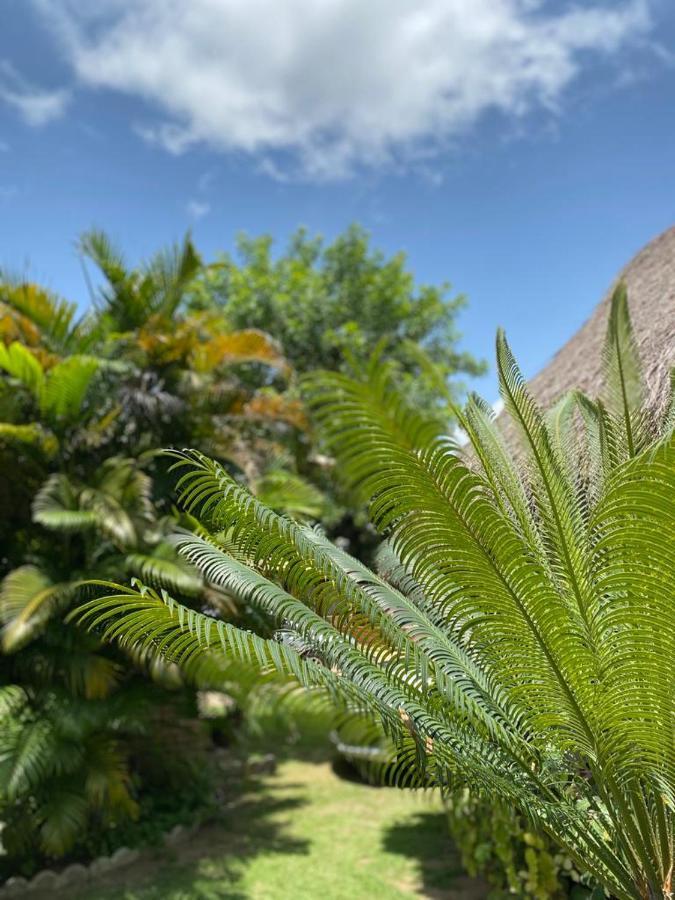 Pousada Porto Mar São Miguel dos Milagres Exteriör bild